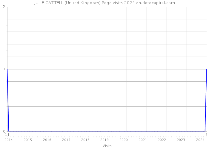 JULIE CATTELL (United Kingdom) Page visits 2024 