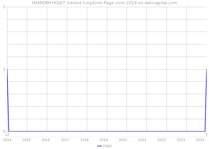 HAMIDEH HOJAT (United Kingdom) Page visits 2024 