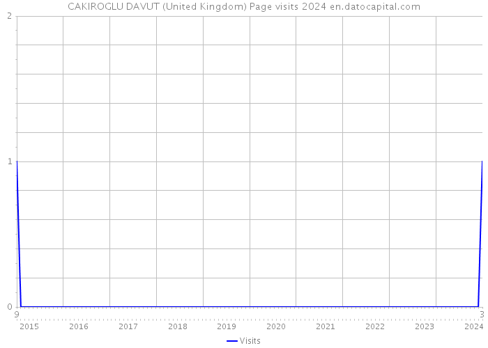 CAKIROGLU DAVUT (United Kingdom) Page visits 2024 