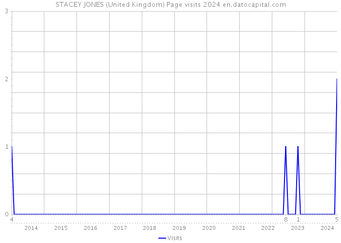 STACEY JONES (United Kingdom) Page visits 2024 