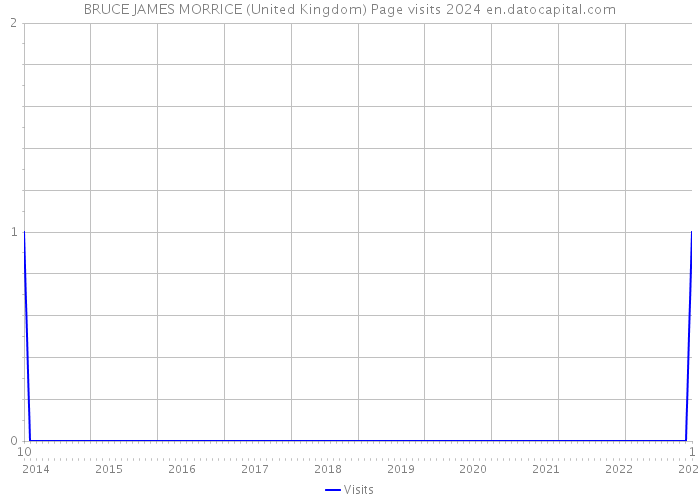 BRUCE JAMES MORRICE (United Kingdom) Page visits 2024 