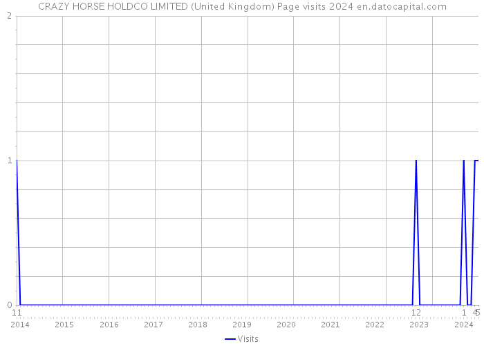 CRAZY HORSE HOLDCO LIMITED (United Kingdom) Page visits 2024 