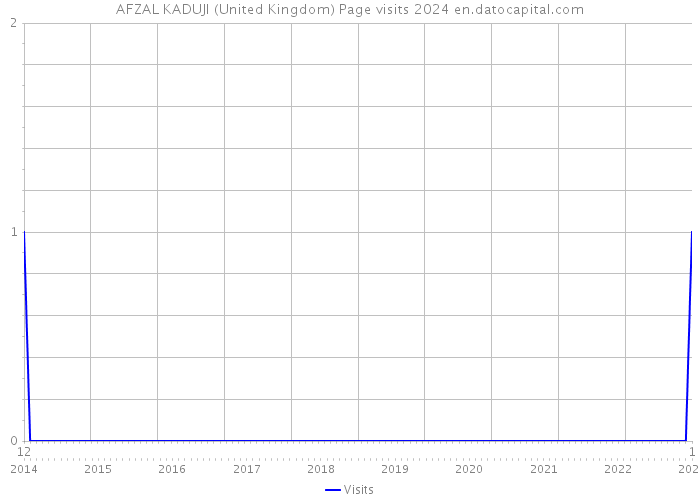 AFZAL KADUJI (United Kingdom) Page visits 2024 