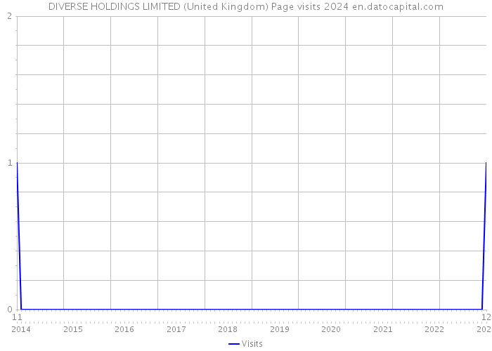 DIVERSE HOLDINGS LIMITED (United Kingdom) Page visits 2024 