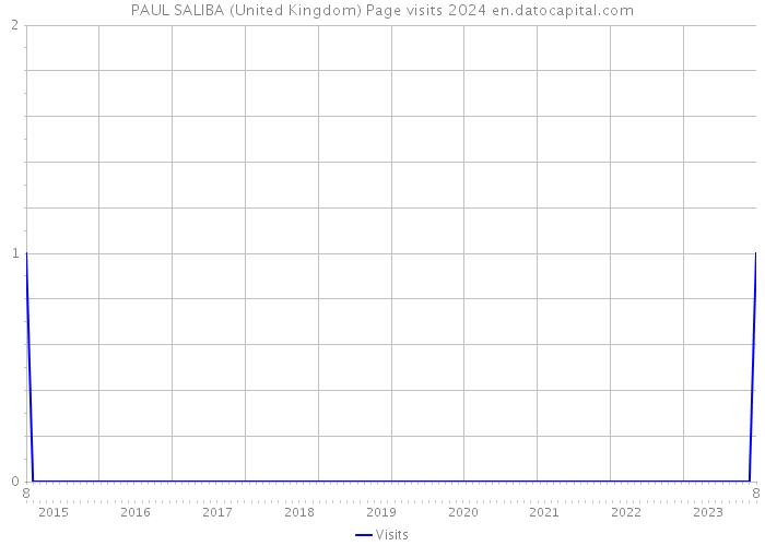 PAUL SALIBA (United Kingdom) Page visits 2024 
