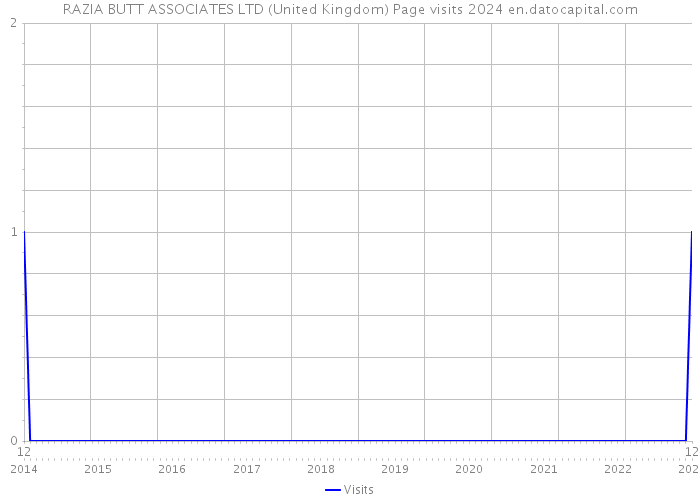 RAZIA BUTT ASSOCIATES LTD (United Kingdom) Page visits 2024 