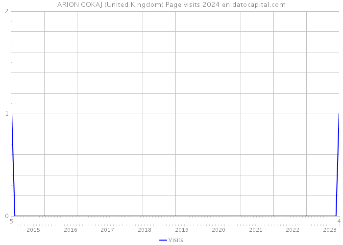 ARION COKAJ (United Kingdom) Page visits 2024 