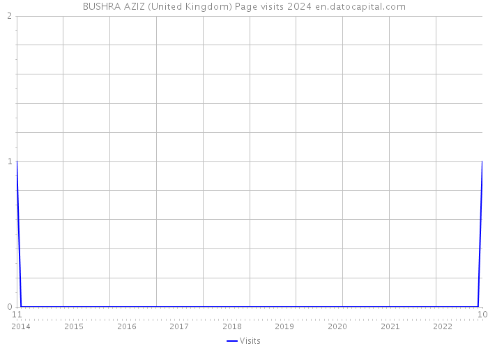 BUSHRA AZIZ (United Kingdom) Page visits 2024 
