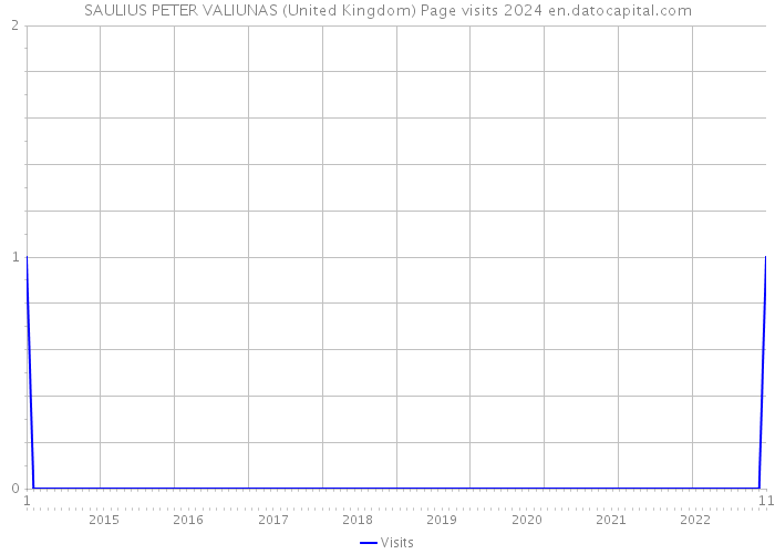 SAULIUS PETER VALIUNAS (United Kingdom) Page visits 2024 