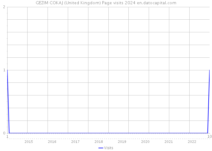 GEZIM COKAJ (United Kingdom) Page visits 2024 