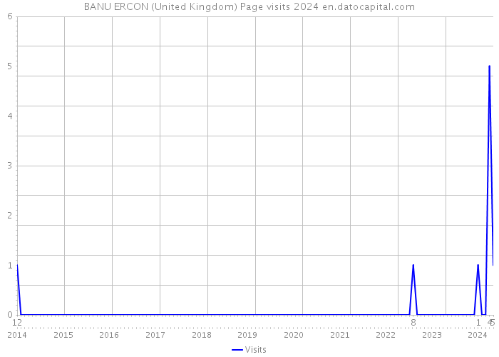 BANU ERCON (United Kingdom) Page visits 2024 