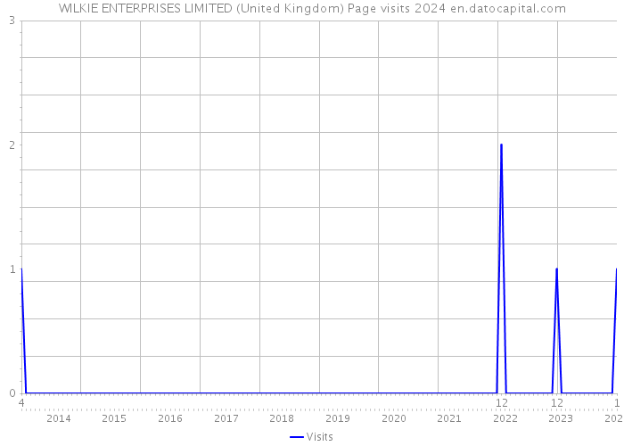 WILKIE ENTERPRISES LIMITED (United Kingdom) Page visits 2024 