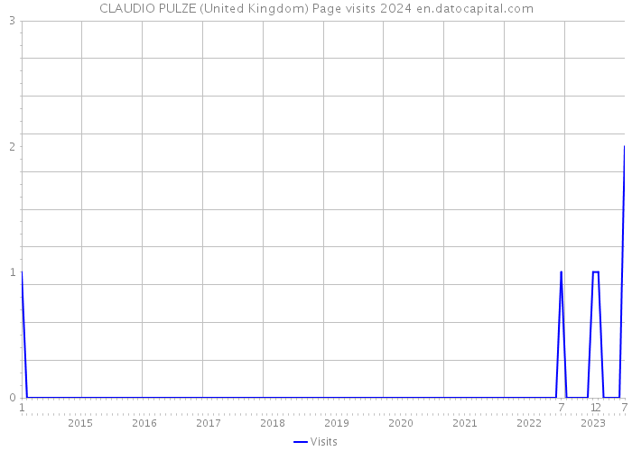 CLAUDIO PULZE (United Kingdom) Page visits 2024 