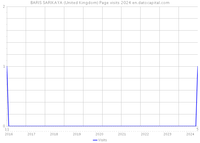 BARIS SARIKAYA (United Kingdom) Page visits 2024 