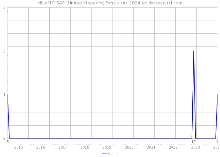 MILAN CISAR (United Kingdom) Page visits 2024 