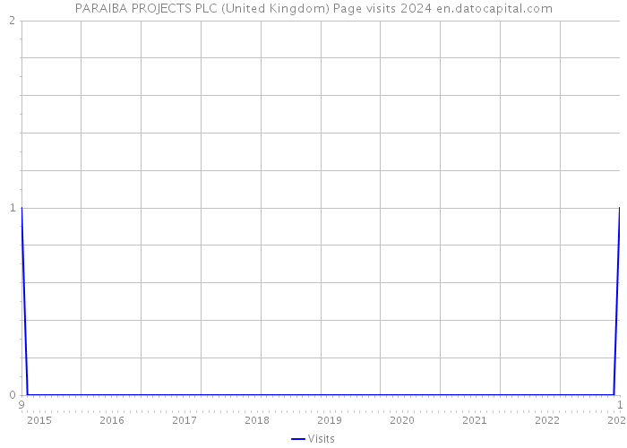 PARAIBA PROJECTS PLC (United Kingdom) Page visits 2024 