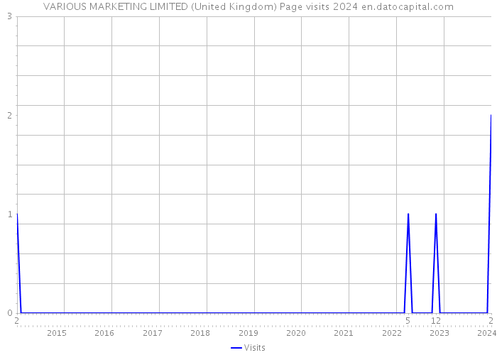 VARIOUS MARKETING LIMITED (United Kingdom) Page visits 2024 