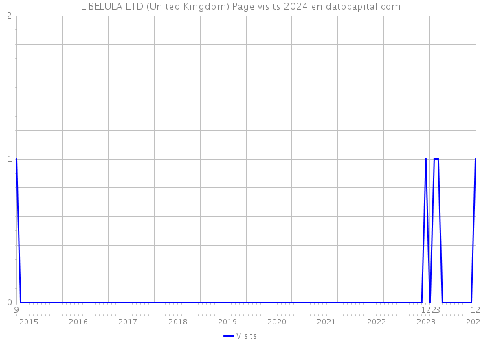 LIBELULA LTD (United Kingdom) Page visits 2024 
