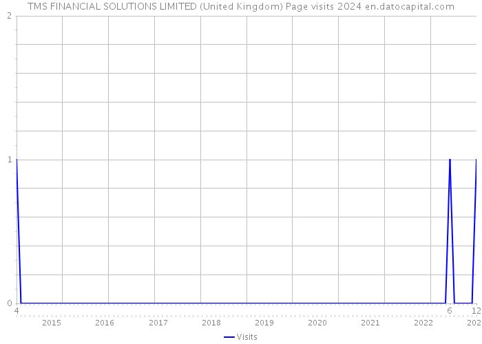 TMS FINANCIAL SOLUTIONS LIMITED (United Kingdom) Page visits 2024 