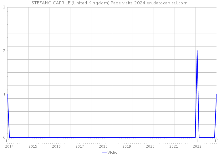 STEFANO CAPRILE (United Kingdom) Page visits 2024 