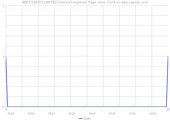 BERT'S BUDS LIMITED (United Kingdom) Page visits 2024 