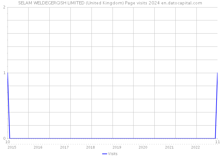 SELAM WELDEGERGISH LIMITED (United Kingdom) Page visits 2024 