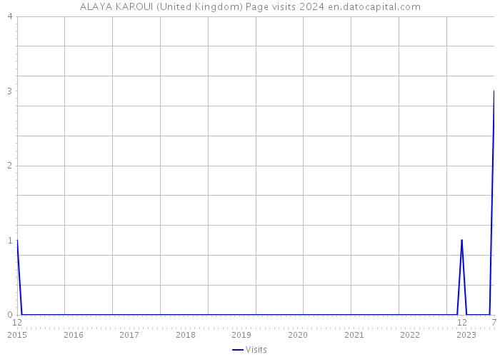 ALAYA KAROUI (United Kingdom) Page visits 2024 