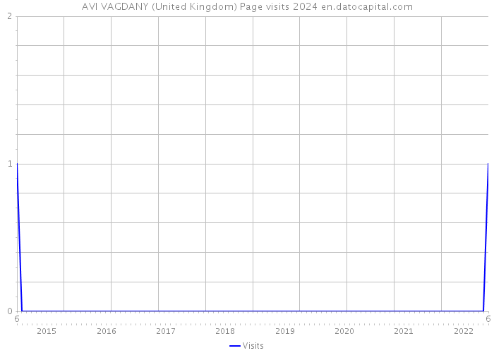 AVI VAGDANY (United Kingdom) Page visits 2024 
