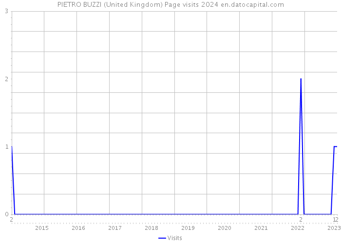 PIETRO BUZZI (United Kingdom) Page visits 2024 