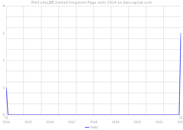 RIAZ LALLJEE (United Kingdom) Page visits 2024 