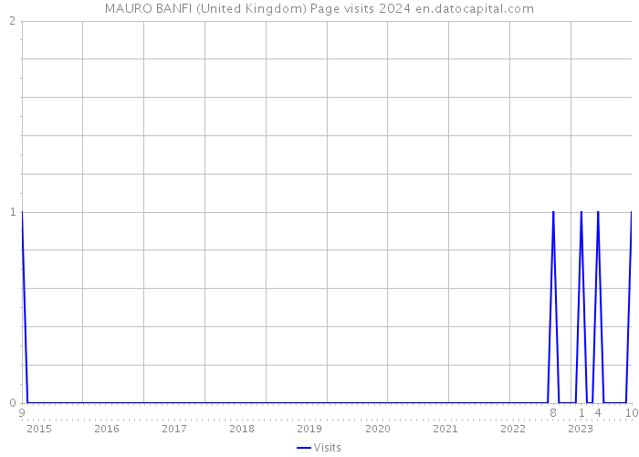 MAURO BANFI (United Kingdom) Page visits 2024 