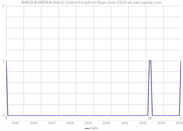 ENRIQUE MEDINA MALO (United Kingdom) Page visits 2024 