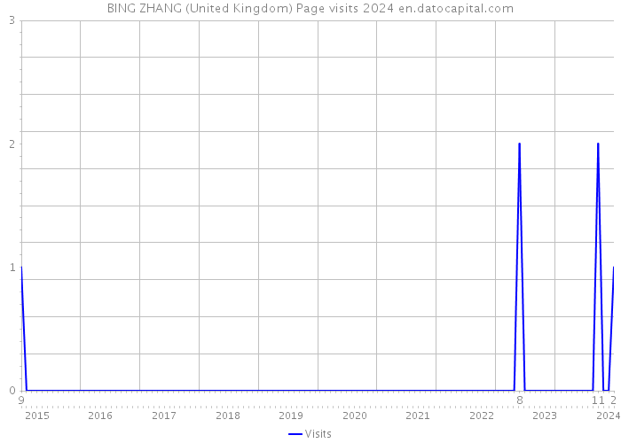 BING ZHANG (United Kingdom) Page visits 2024 