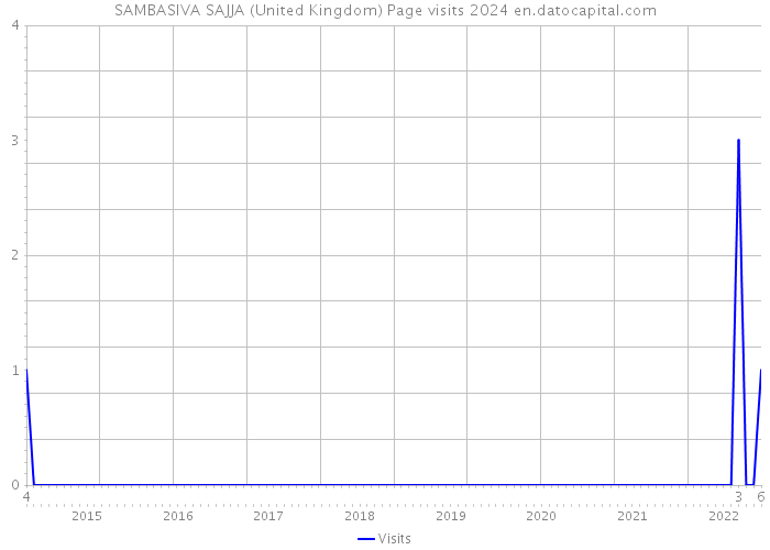 SAMBASIVA SAJJA (United Kingdom) Page visits 2024 