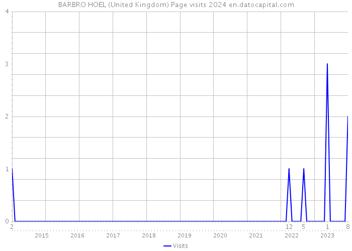 BARBRO HOEL (United Kingdom) Page visits 2024 