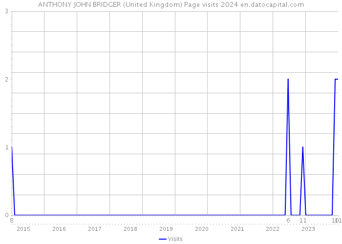 ANTHONY JOHN BRIDGER (United Kingdom) Page visits 2024 