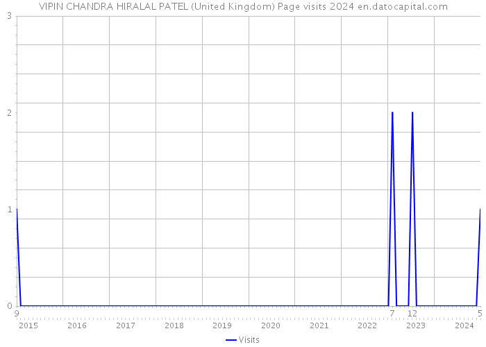VIPIN CHANDRA HIRALAL PATEL (United Kingdom) Page visits 2024 