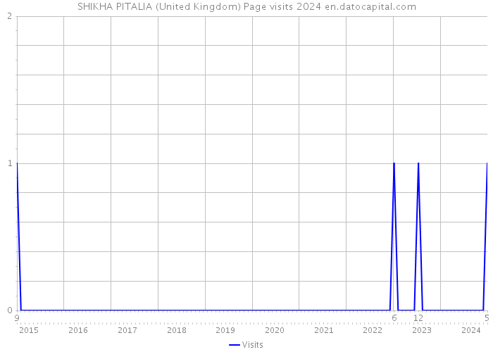 SHIKHA PITALIA (United Kingdom) Page visits 2024 