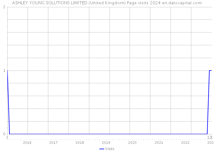 ASHLEY YOUNG SOLUTIONS LIMITED (United Kingdom) Page visits 2024 