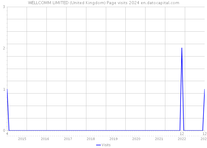 WELLCOMM LIMITED (United Kingdom) Page visits 2024 