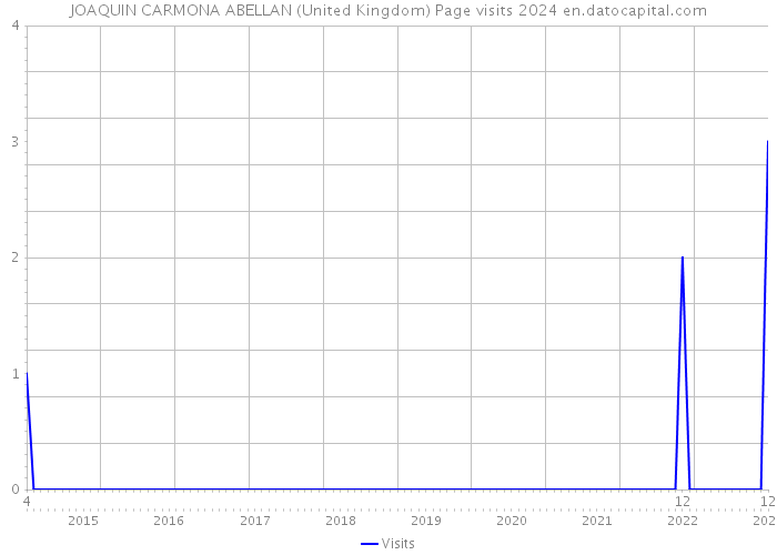 JOAQUIN CARMONA ABELLAN (United Kingdom) Page visits 2024 