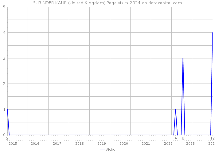SURINDER KAUR (United Kingdom) Page visits 2024 