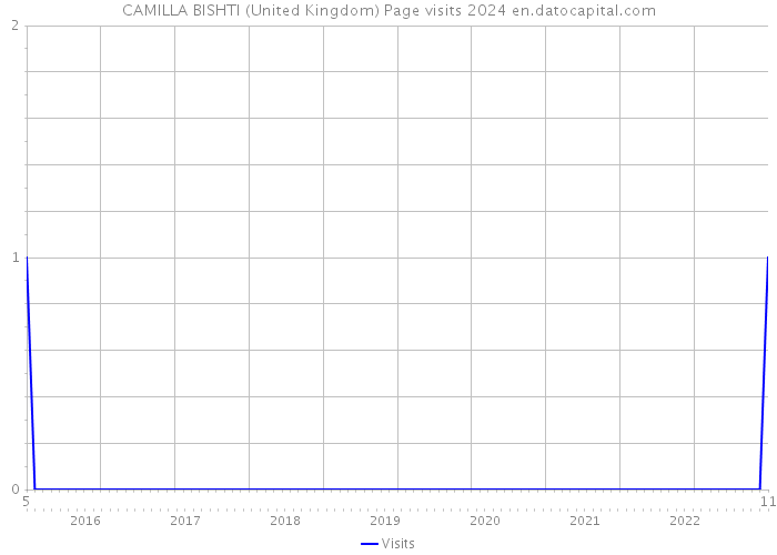 CAMILLA BISHTI (United Kingdom) Page visits 2024 