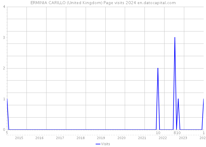 ERMINIA CARILLO (United Kingdom) Page visits 2024 
