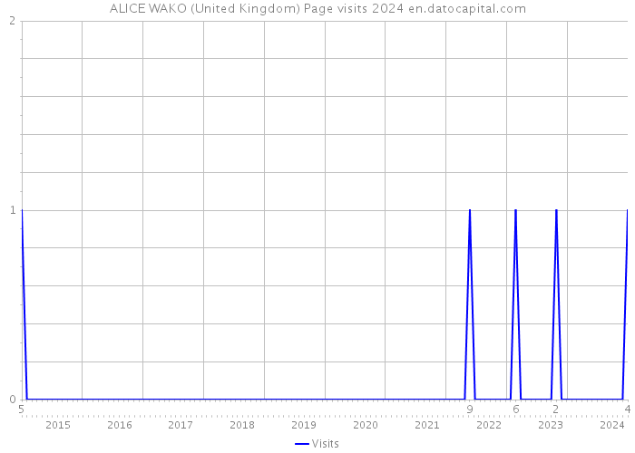 ALICE WAKO (United Kingdom) Page visits 2024 