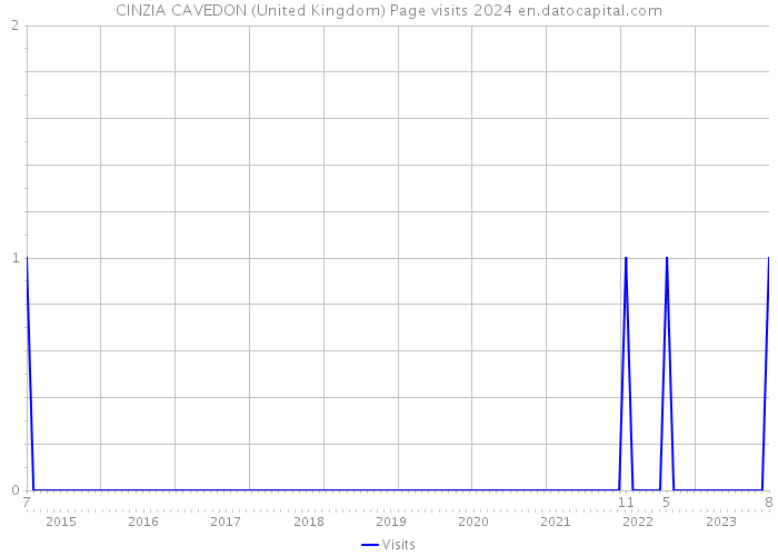 CINZIA CAVEDON (United Kingdom) Page visits 2024 