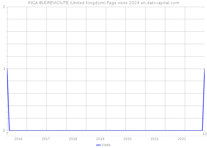 INGA BUDREVICIUTE (United Kingdom) Page visits 2024 