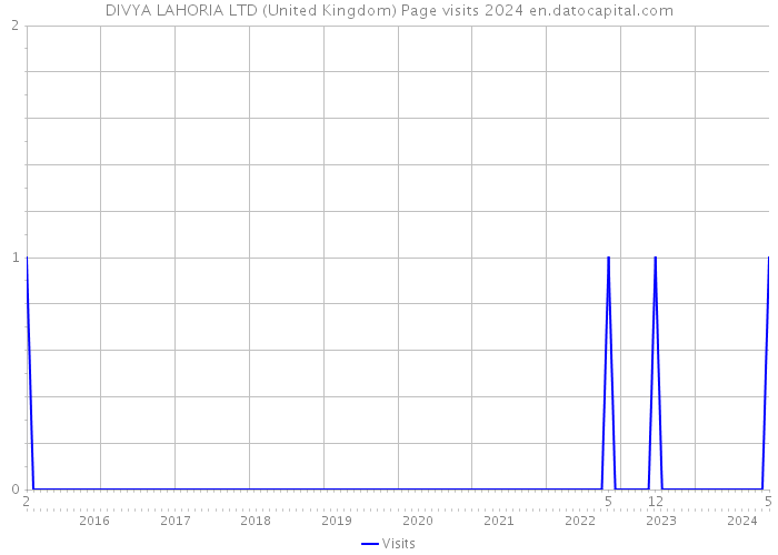 DIVYA LAHORIA LTD (United Kingdom) Page visits 2024 