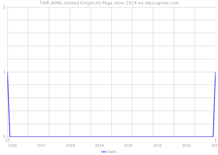 TAIR JAMIL (United Kingdom) Page visits 2024 