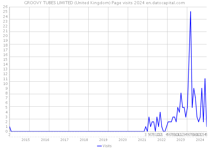 GROOVY TUBES LIMITED (United Kingdom) Page visits 2024 